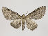  ( - MM26540)  @14 [ ] CreativeCommons - Attribution Non-Commercial (2018) Marko Mutanen University of Oulu