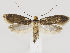  ( - MM26541)  @11 [ ] CreativeCommons - Attribution Non-Commercial (2018) Marko Mutanen University of Oulu