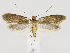  ( - MM26542)  @11 [ ] CreativeCommons - Attribution Non-Commercial (2018) Marko Mutanen University of Oulu