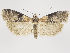  ( - MM26569)  @11 [ ] CreativeCommons - Attribution Non-Commercial (2018) Marko Mutanen University of Oulu