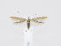  ( - MM26606)  @12 [ ] CreativeCommons - Attribution Non-Commercial (2019) Marko Mutanen University of Oulu