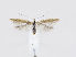  ( - MM26607)  @12 [ ] CreativeCommons - Attribution Non-Commercial (2019) Marko Mutanen University of Oulu