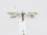  ( - MM26614)  @13 [ ] CreativeCommons - Attribution Non-Commercial (2019) Marko Mutanen University of Oulu