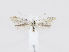  ( - MM26619)  @13 [ ] CreativeCommons - Attribution Non-Commercial (2019) Marko Mutanen University of Oulu