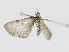  ( - MM26642)  @12 [ ] CreativeCommons - Attribution Non-Commercial (2019) Marko Mutanen University of Oulu