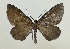  ( - MM26663)  @13 [ ] CreativeCommons - Attribution Non-Commercial (2019) Marko Mutanen University of Oulu
