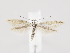  ( - MM26671)  @11 [ ] by-nc (2020) Marko Mutanen University of Oulu