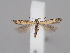  ( - MM26800)  @11 [ ] CreativeCommons - Attribution Non-Commercial (2018) Marko Mutanen University of Oulu