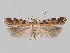  ( - MM26886)  @11 [ ] CreativeCommons - Attribution Non-Commercial (2018) Marko Mutanen University of Oulu