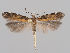  ( - MM26891)  @11 [ ] CreativeCommons - Attribution Non-Commercial (2018) Marko Mutanen University of Oulu