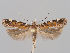  ( - MM26892)  @11 [ ] CreativeCommons - Attribution Non-Commercial (2018) Marko Mutanen University of Oulu