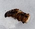  ( - MM27042)  @11 [ ] by-nc (2022) Marko Mutanen University of Oulu