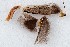  ( - MM27049)  @11 [ ] by-nc (2022) Marko Mutanen University of Oulu