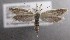  ( - MM27076)  @11 [ ] by-nc (2021) Marko Mutanen University of Oulu
