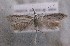  ( - MM27115)  @11 [ ] by-nc (2021) Marko Mutanen University of Oulu
