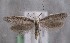  ( - MM27116)  @11 [ ] by-nc (2021) Marko Mutanen University of Oulu