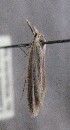  ( - MM27119)  @11 [ ] by-nc (2021) Marko Mutanen University of Oulu