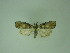  ( - MM27252)  @11 [ ] by-nc (2021) Markus Rantala Unspecified