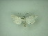  ( - MM27270)  @11 [ ] by-nc (2021) Markus Rantala Unspecified