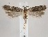  ( - MM27412)  @11 [ ] by-nc (2021) Marko Mutanen University of Oulu