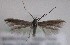  ( - MM27452)  @11 [ ] by-nc (2021) Unspecified University of Oulu