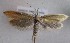  ( - MM27454)  @11 [ ] by-nc (2021) Unspecified University of Oulu