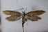  ( - MM27457)  @11 [ ] by-nc (2021) Unspecified University of Oulu