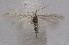  ( - MM27459)  @11 [ ] by-nc (2021) Unspecified University of Oulu