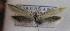  ( - MM27465)  @11 [ ] by-nc (2021) Unspecified University of Oulu