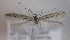  ( - MM27473)  @11 [ ] by-nc (2021) Unspecified University of Oulu