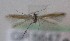  ( - MM27481)  @11 [ ] by-nc (2021) Unspecified University of Oulu