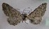  ( - MM27502)  @11 [ ] by-nc (2021) Unspecified University of Oulu