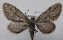  ( - MM27544)  @11 [ ] by-nc (2022) Jukka Tabell Unspecified