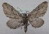 ( - MM27548)  @11 [ ] by-nc (2022) Jukka Tabell Unspecified