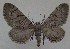  ( - MM27557)  @11 [ ] by-nc (2022) Jukka Tabell Unspecified