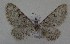  ( - MM27559)  @11 [ ] by-nc (2022) Jukka Tabell Unspecified