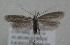  ( - MM27628)  @11 [ ] by-nc (2022) Jukka Tabell Unspecified