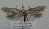  ( - MM27629)  @11 [ ] by-nc (2022) Jukka Tabell Unspecified