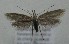  ( - MM27630)  @11 [ ] by-nc (2022) Jukka Tabell Unspecified