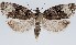  ( - MM27670)  @11 [ ] by-nc (2022) Marko Mutanen University of Oulu