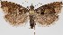  ( - MM27726)  @11 [ ] by-nc (2022) Marko Mutanen University of Oulu