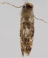  ( - MM27738)  @11 [ ] by-nc (2022) Marko Mutanen University of Oulu