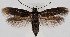  ( - MM27757)  @11 [ ] by-nc (2022) Marko Mutanen University of Oulu