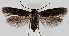  ( - MM27759)  @11 [ ] by-nc (2022) Marko Mutanen University of Oulu