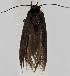  ( - MM27761)  @11 [ ] by-nc (2022) Marko Mutanen University of Oulu