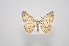  ( - MM27895)  @11 [ ] by-nc (2023) Jari Junnilainen Unspecified