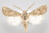  ( - MM27901)  @11 [ ] by-nc (2023) Jari Junnilainen Unspecified