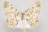  ( - MM27936)  @11 [ ] by-nc (2023) Jari Junnilainen Unspecified