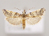  ( - MM27944)  @11 [ ] by-nc (2023) Jari Junnilainen Unspecified
