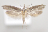  ( - MM27957)  @11 [ ] by-nc (2023) Jari Junnilainen Unspecified